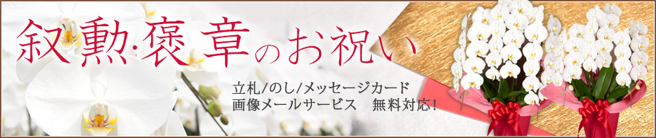 叙勲褒章
